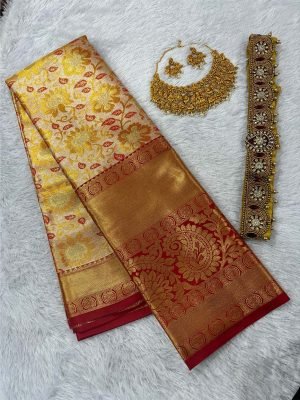 Kanchipuram silks